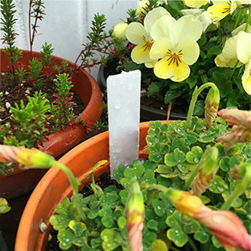 Plant Tags Beschriftungskarten 5 Stück